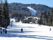 Pista facile Beginner al Silver Platter