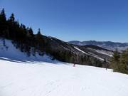 Pista Northern Lights