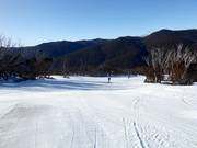 Pista facile Walkabout