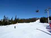 Pista facile Nybegynnerbakken