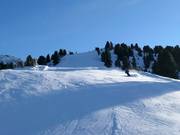 Pista difficile 8 Mohrenkopf