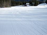 Ampia e perfettamente preparata