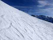 Pendio di neve fresca al Metschstand