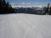 Pista perfettamente preparata