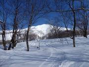 Paradiso della neve fresca a Niseko