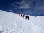 Salita al Mt. Niseko Annupuri