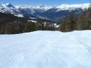 Discesa nel bosco a Sauze d'Oulx