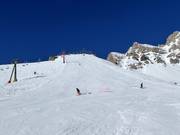 Pista nera Nuova Cima Uomo