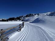 Pista d'altitudine Platschjoch