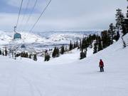 Pista presso la Needles Gondola