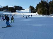 Area principianti presso lo skilift Almboden