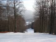 Discesa nel bosco fino alla stazione a valle