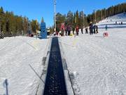 TR2 Rullband Skidskoleliften - Tapis roulant/Tappeto Magico