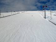 Pista Maaliman Cup (n. 25)