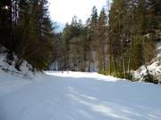 Discesa a valle Sauhöll verso Bayrischzell