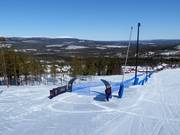 Speed Ski nella parte inferiore della pista World Cup