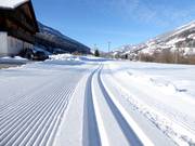 Piste da fondo perfettamente preparate a Sillian