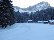 Piste da fondo presso la Blaa-Alm