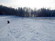 Pista da sci Landsberied