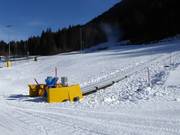 Tappeti Madessa a Ravascletto