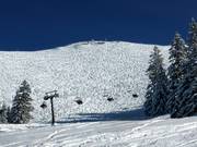 Pendii di neve fresca