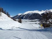 Facile pista d’avventura Mountys a Celerina