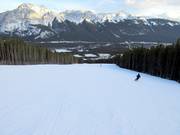 Discesa Lower Homesteader