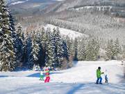 Ben inclinato – la parte superiore della pista