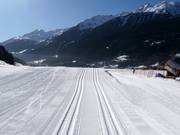 Piste da fondo a Bormio
