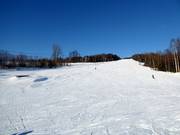 Pista da sci Åslia Skisenter