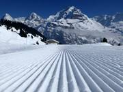 Piste perfette con vista su Eiger, Mönch e Jungfrau