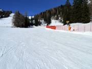 Pista di esercitazione Campo Scuola Gardoné sopra Predazzo
