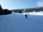 Pista 3 Pařezovka e 5 Pod Zámečkem