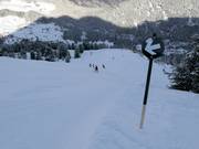 Pista difficile 8 Mohrenkopf