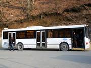 Autobus che circolano regolarmente alleviano l'ambiente