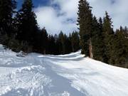 Discesa a valle nera verso Disentis