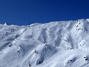 Pista nera Black Mamba