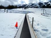 Il tappeto Jelly Bean