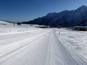 Perfetta pista per principianti Valbiolo al Passo del Tonale