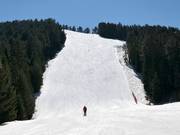 Pista nera Chalin Valog