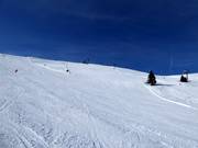 Ampia pista Sonnenkogel