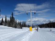 Home Run Tee - Skilift con T-bar/ancora