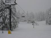 Neve fresca nell’area sciistica Timberline