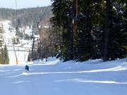 Skilift Notschrei 2 - Skilift con T-bar/ancora