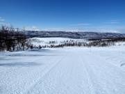 Pista n. 15 Direkten