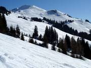 Area freeride Schwarzkogel