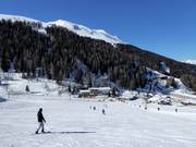 Ampia area per principianti Kaserwald