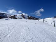 Discesa a valle Kogen (Grand Hirafu)