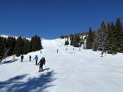 Pista n. 14 Knezevseke