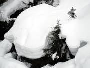 Abbondante neve naturale è la regola nell'Espace Diamant.